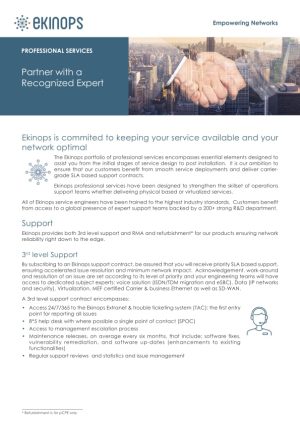 03br-professional_services_sales_primer-ekinops 03br-professional_services_sales_primer-ekinops